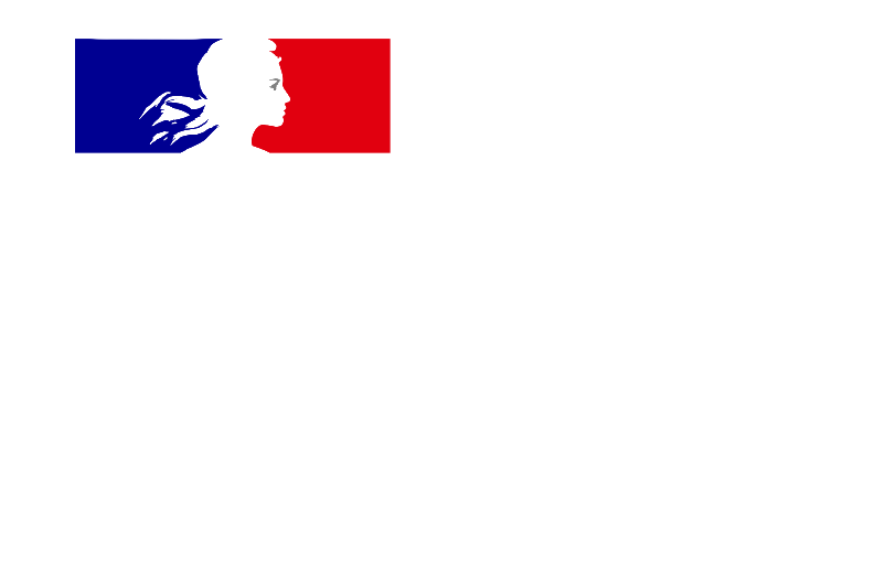 French Embassy in Egypt